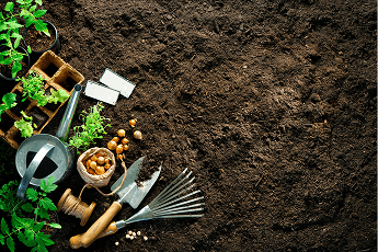 Que faire dans son potager et son jardin au Printemps ?