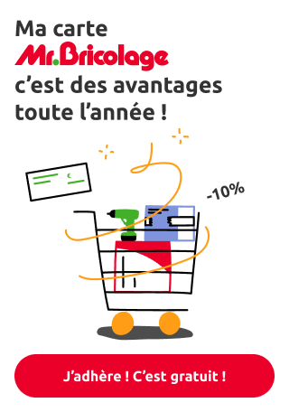 Carte de fid&eacute;lit&eacute; MrBricolage permettant de cumuler des points et obtenir des r&eacute;ductions