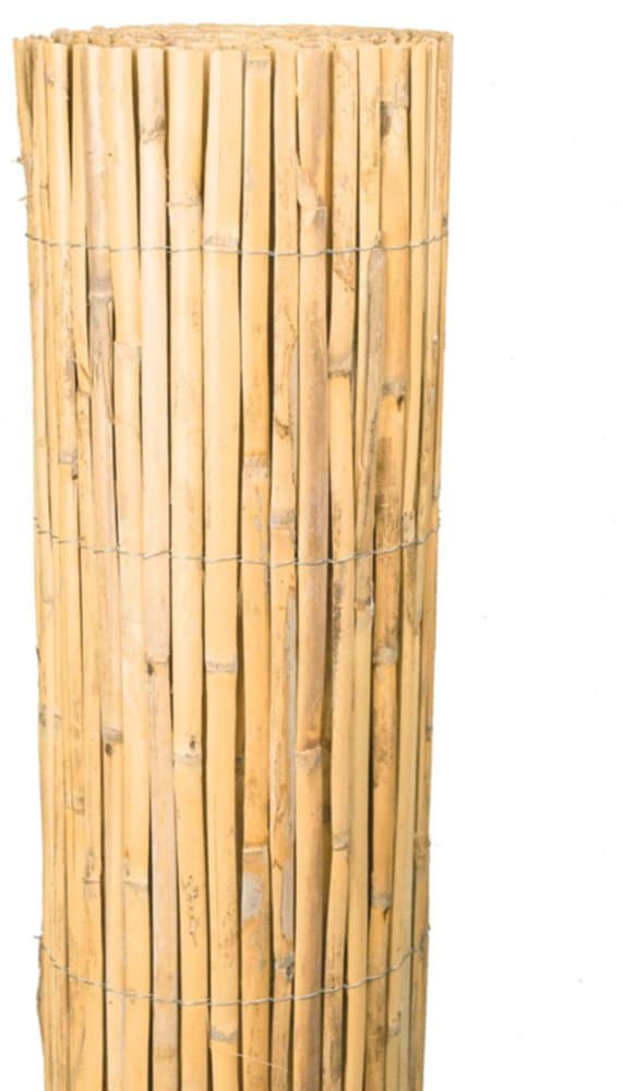 Canisse bambous fendus occultation 80% 2x5m - SICATEC - Mr.Bricolage