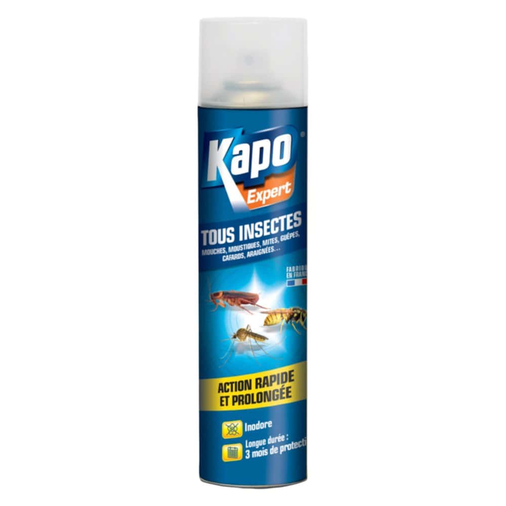 seringue insecticide cafards et es - KAPO - Mr.Bricolage