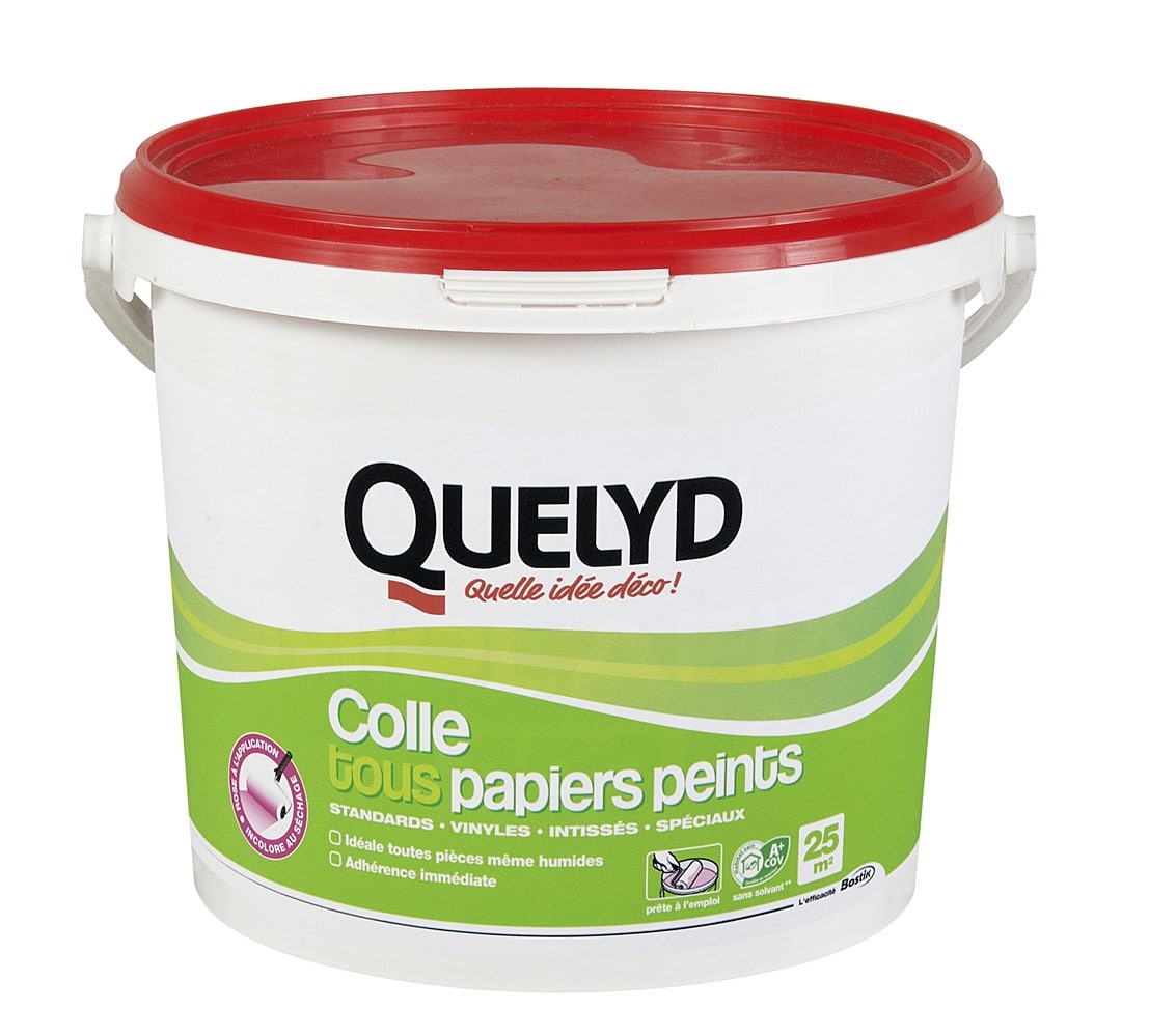 Colle papier peint Premium 5kg - QUELYD - Mr.Bricolage