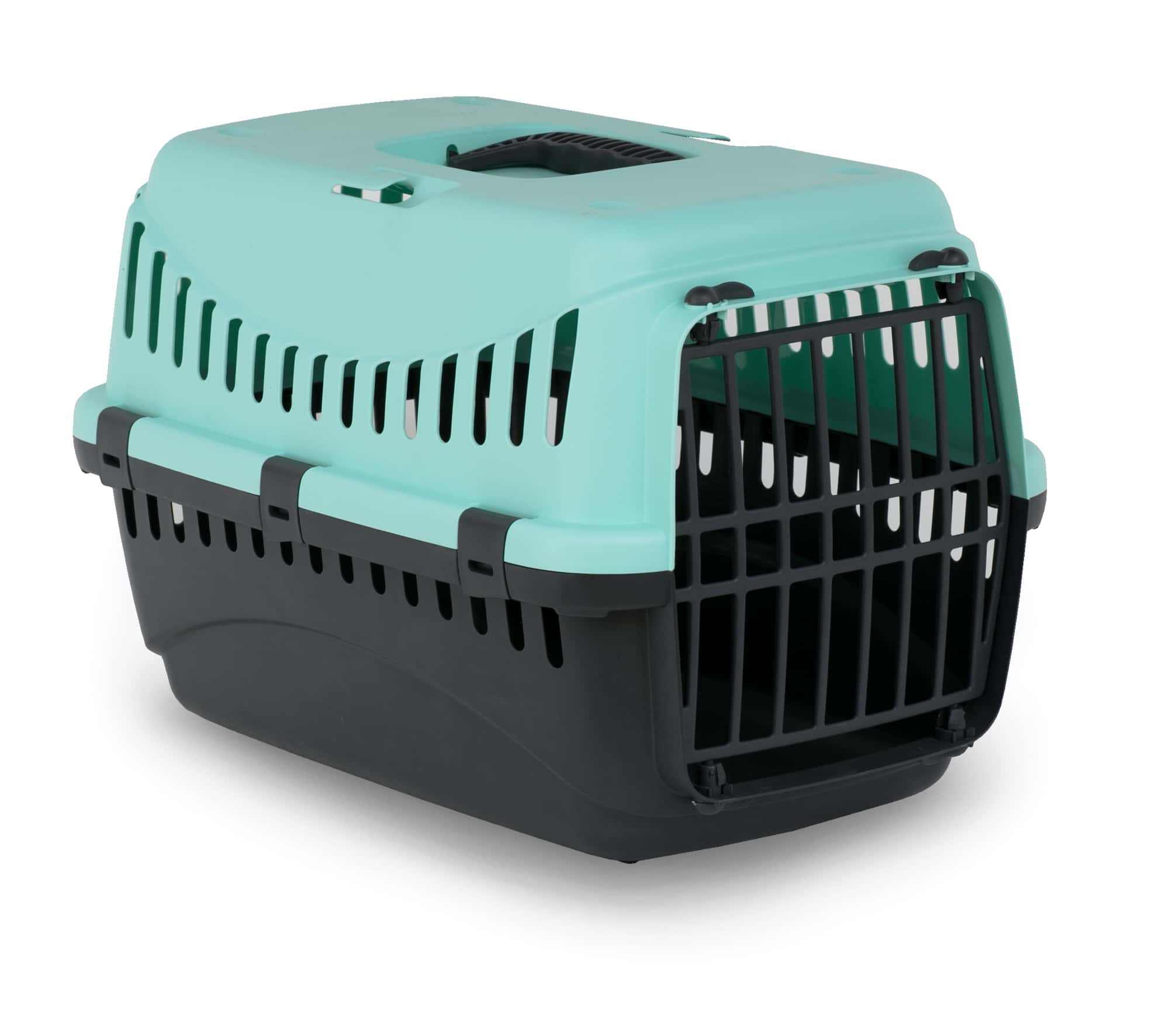 Cage de transport chat Vert Sauge - Mr Bricolage : Bricoler