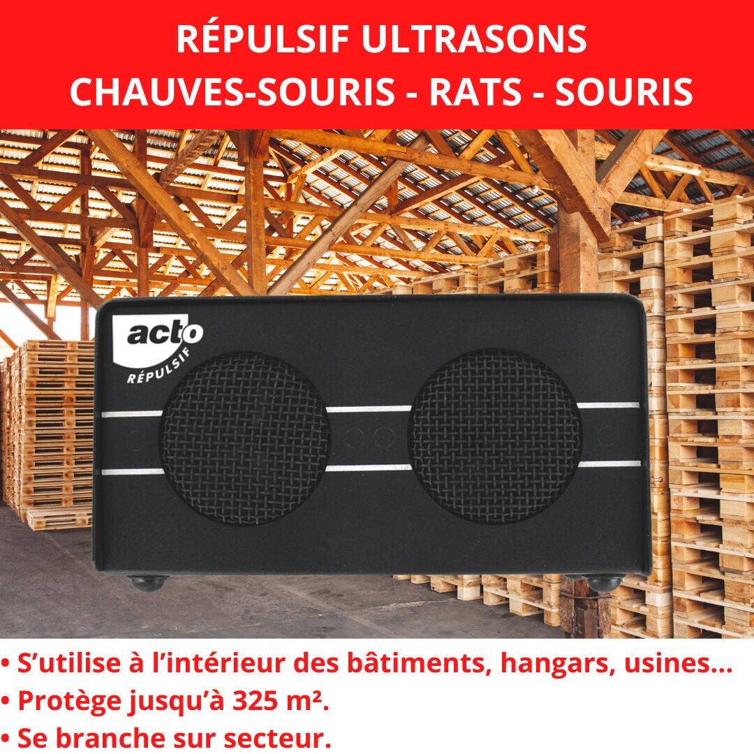Kit D'entretien Pour Batte De Cricket - Grip, Adhésif, Cône, Manche, Marteau