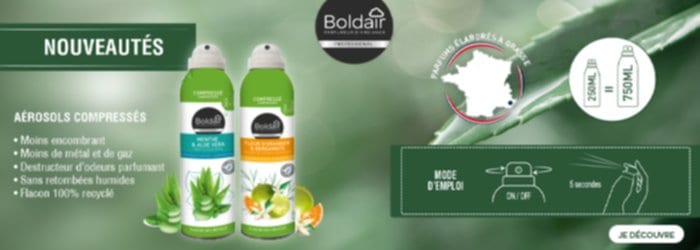 Destructeur d'odeurs Boldair Menthe & Aloe vera - Aérosol 250 ml sur