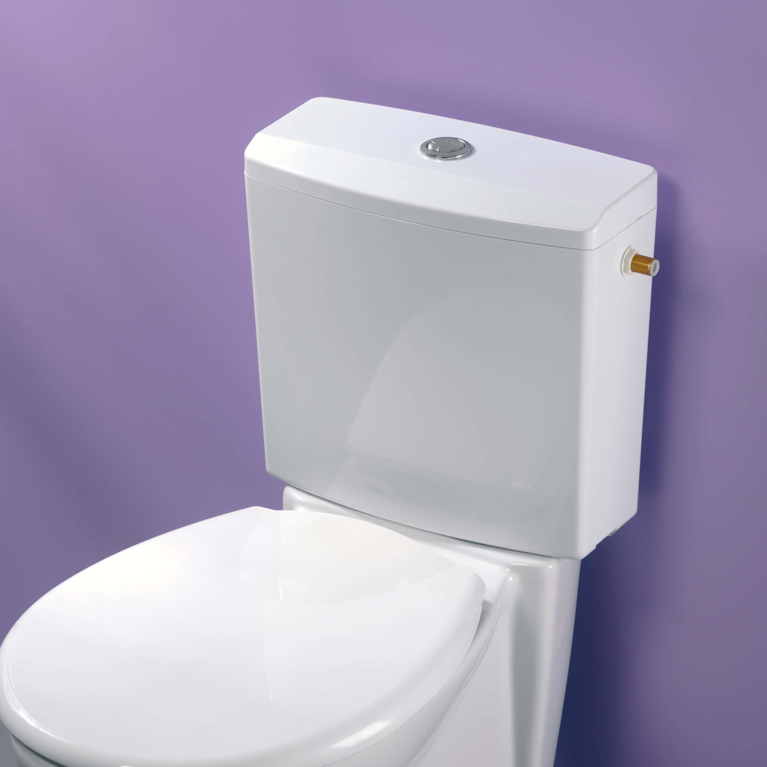 Wirquin joint WC pour cuvette et réservoir