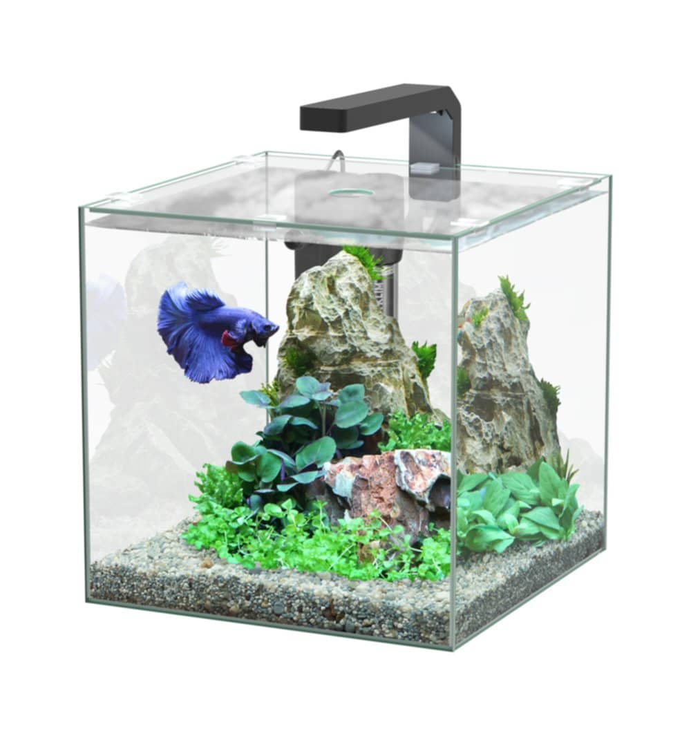 Vente en gros Accessoires D'aquarium de produits à des prix d