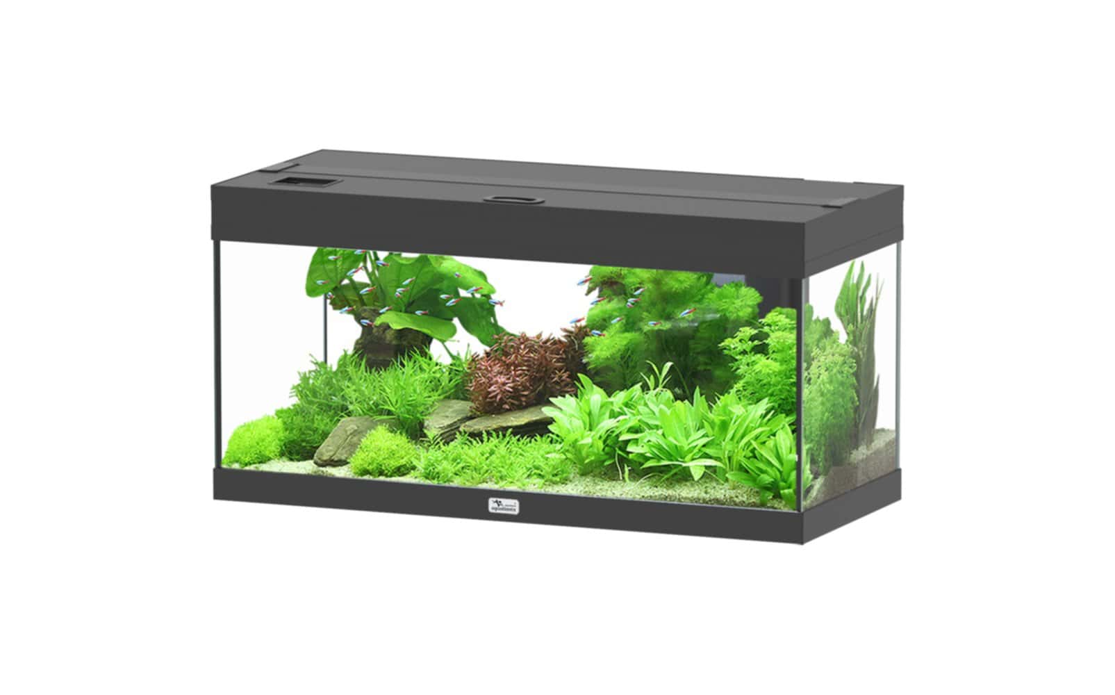 Aquarium Prestige 80 LED 2.0 équipé Noir 40,2x34,3x80,2cm - Mr