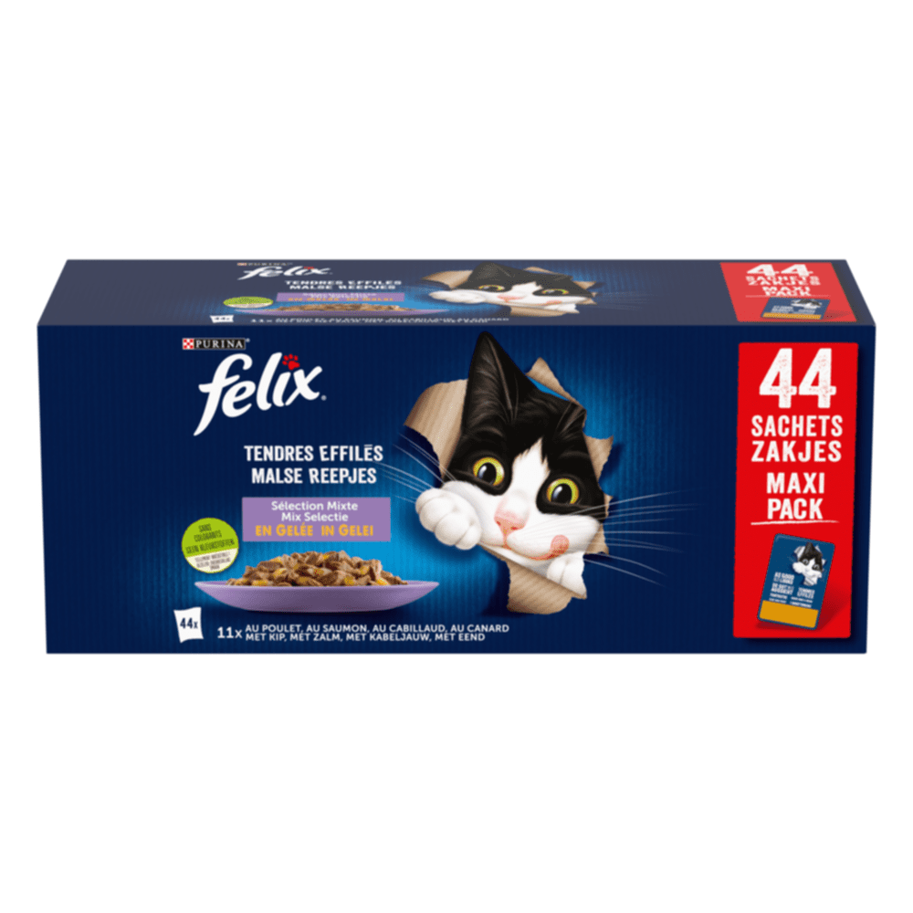 Félix chat: le goût et la qualité des produits pour les chats