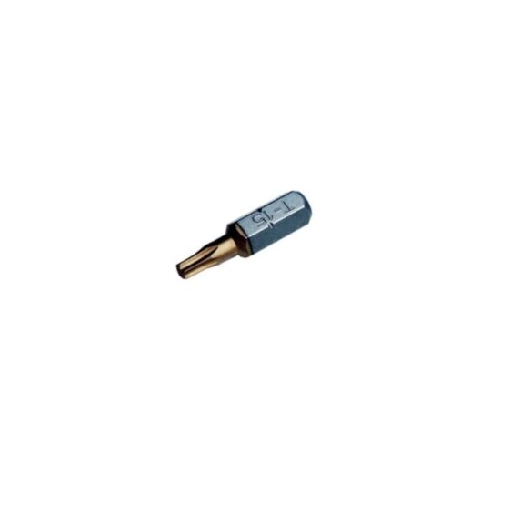 2 embouts TX20
