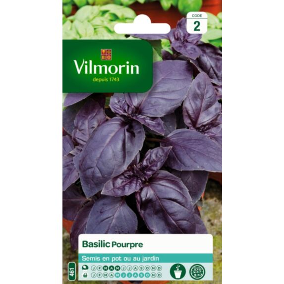 Graines Basilic Pourpre - VILMORIN