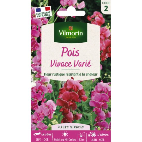 Graines Pois Vivace Varié - VILMORIN