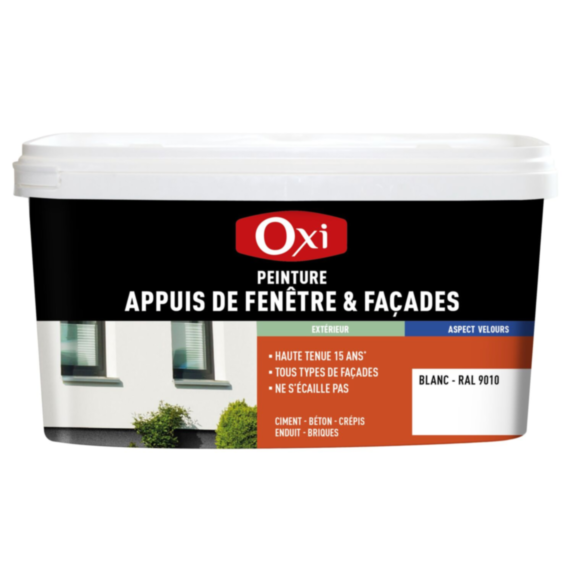 PEINTURE APPUIS-FENETRE BLANC (2.5L)