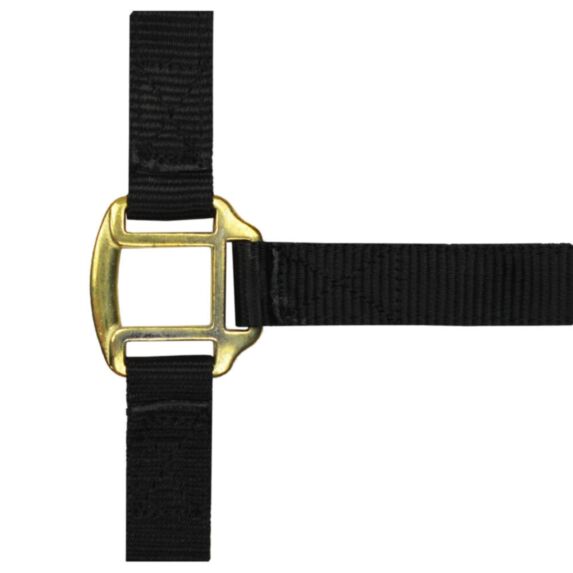 Licol nylon noir doublé cuir pour poney - NORTON