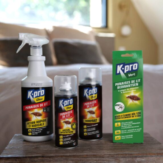4 Pièges à punaises de lit - K.PRO