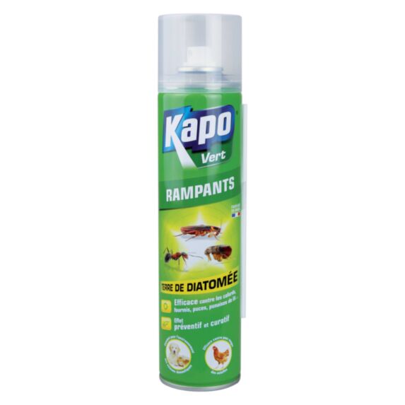 Aérosol Terre de Diatomee 400ml - K.PRO
