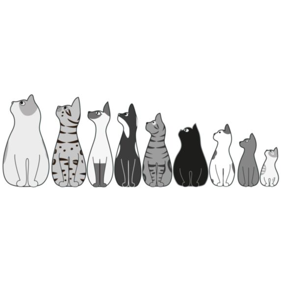 Sticker papier 24x68cm Chatriochka - PLAGE