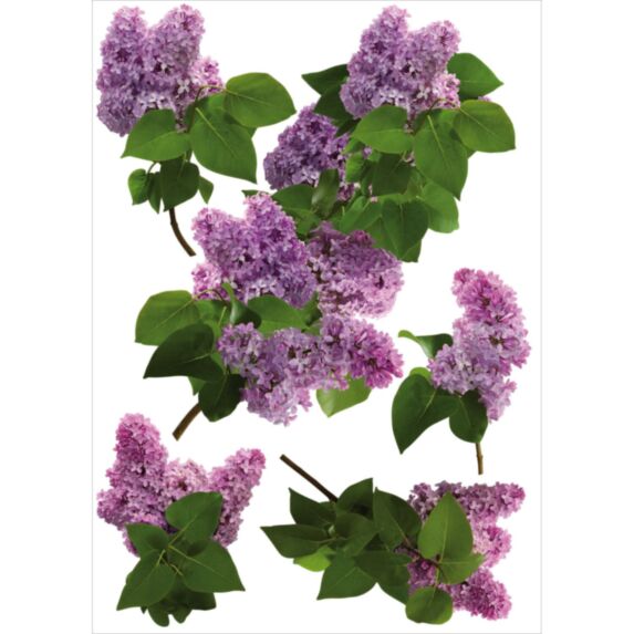 Sticker 48x68cm Lilas - PLAGE