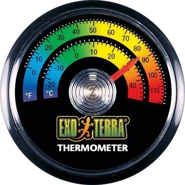 Thermomètre terrarium f&c - Mr.Bricolage