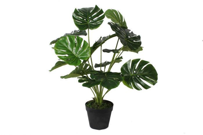 Plante artificielle H30 cm, pot plastique Ø8,5 x 7,5 cm - Mr Bricolage