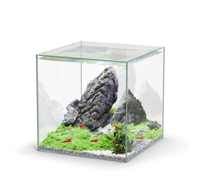 Décoration aquarium barrière de roche