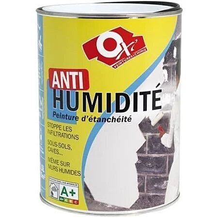 Peinture anti-humidité : comment bien la choisir ? 