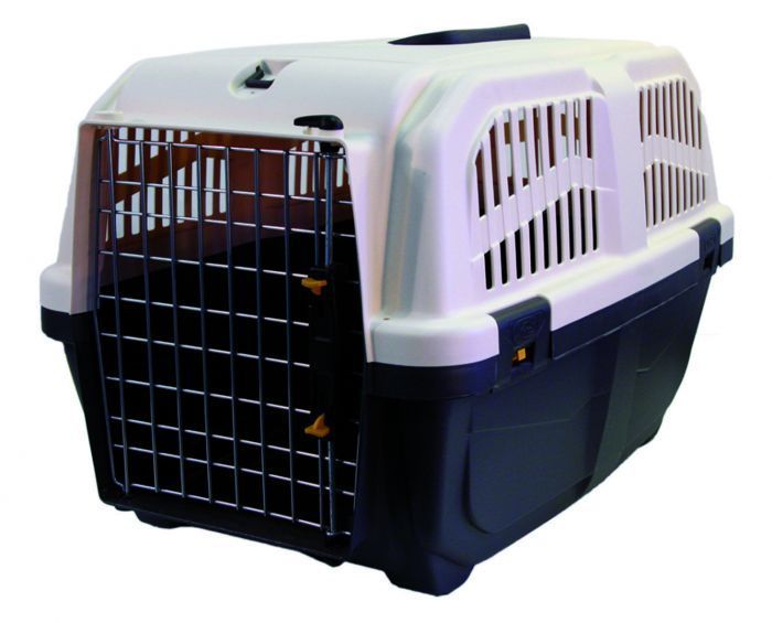 Caisse de transport Normes IATA Skudo en plastique pour chien et chat