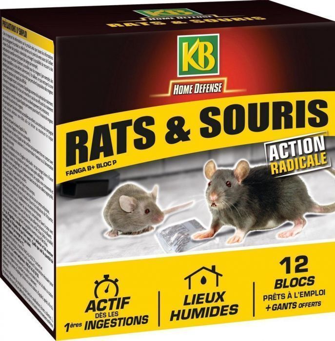 rats et souris bloc 240g - Mr.Bricolage