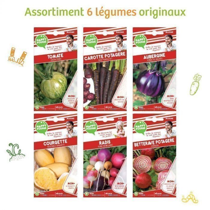 Graines potagères - 6 Légumes originaux - ERNEST TURC - Mr.Bricolage