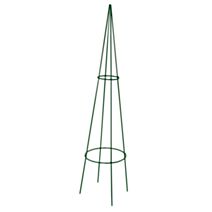 Tipis classique vert sapin 20x100cm - LOUIS MOULIN