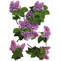 Sticker 48x68cm Lilas - PLAGE