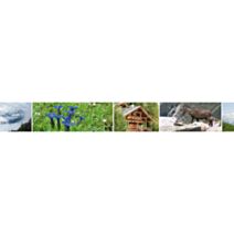 PLAGE FRISE ADHESIVE 300x10cm Photos Montagne