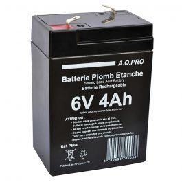 Batterie 6V 4Ah petite taille